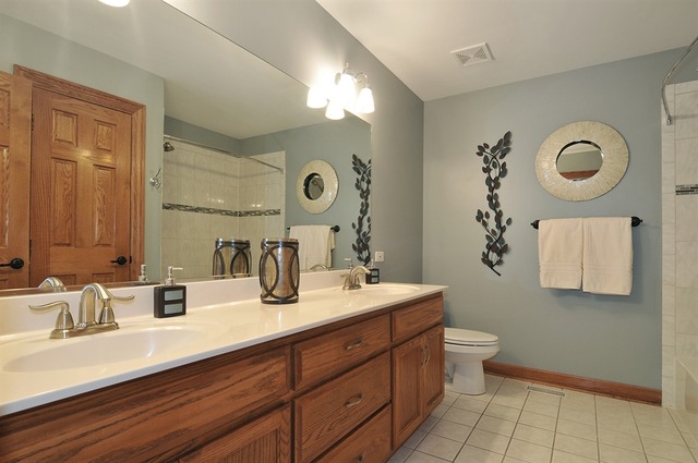 24730 Illini Dr, Plainfield, IL 60544 photo 6