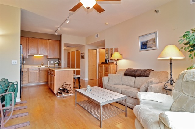 5 E 14th Pl #1707, Chicago, IL 60605 photo 4