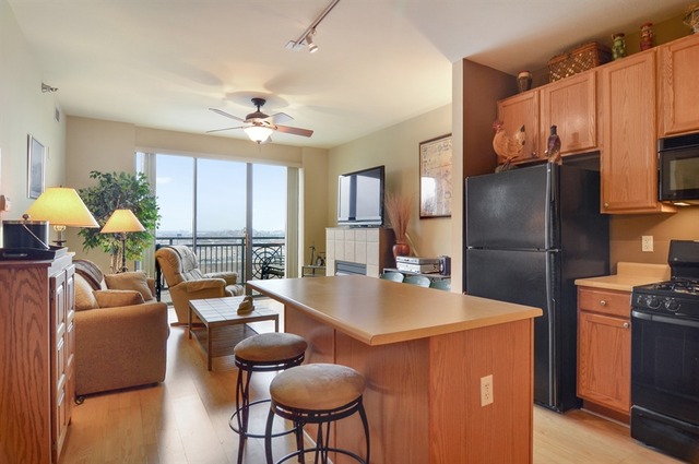 5 E 14th Pl #1707, Chicago, IL 60605 photo 7