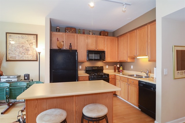 5 E 14th Pl #1707, Chicago, IL 60605 photo 6