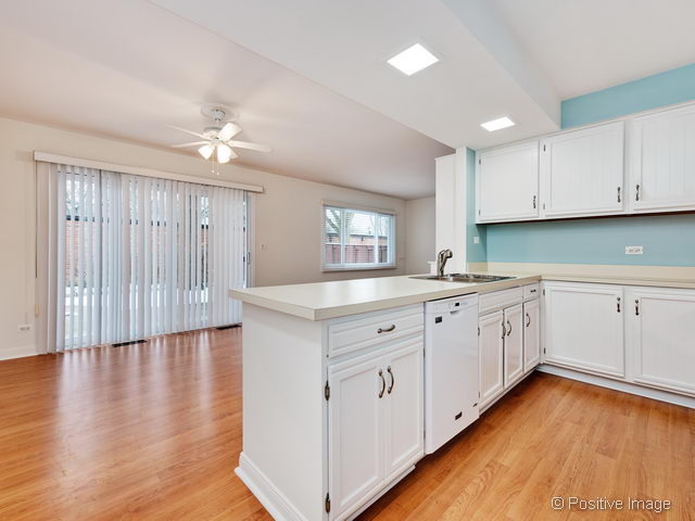 647 Spring Rd, Glenview, IL 60025 photo 10