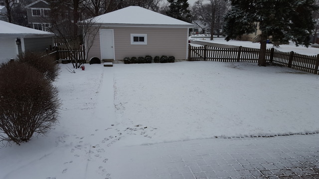 604 E Liberty Dr, Wheaton, IL 60187 photo 24