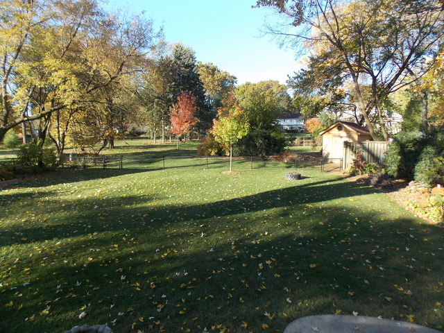 918 S Main St, Wheaton, IL 60189 photo 14