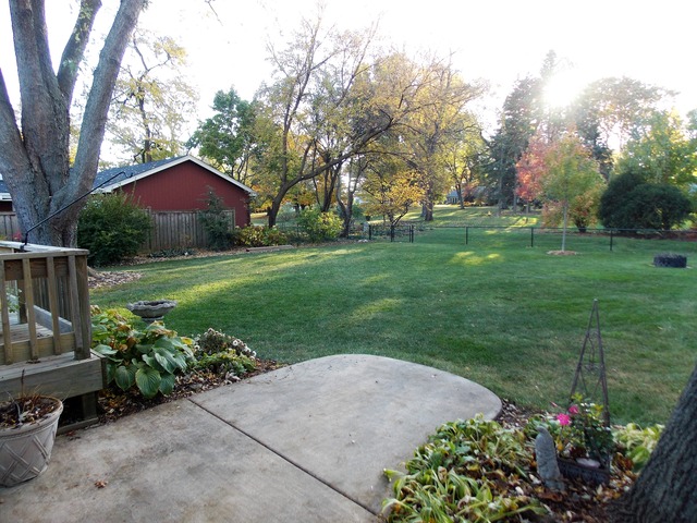 918 S Main St, Wheaton, IL 60189 photo 13