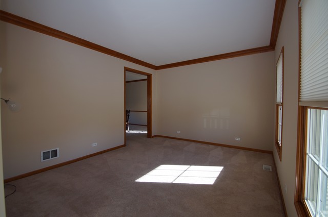 13421 Millbank Dr, Plainfield, IL 60585 photo 12