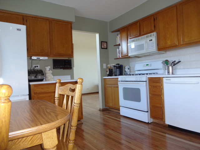 341 Lincoln Dr, Bartlett, IL 60103 photo 6