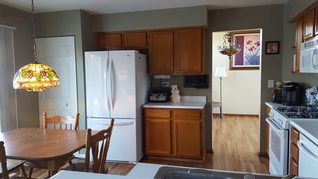 341 Lincoln Dr, Bartlett, IL 60103 photo 8