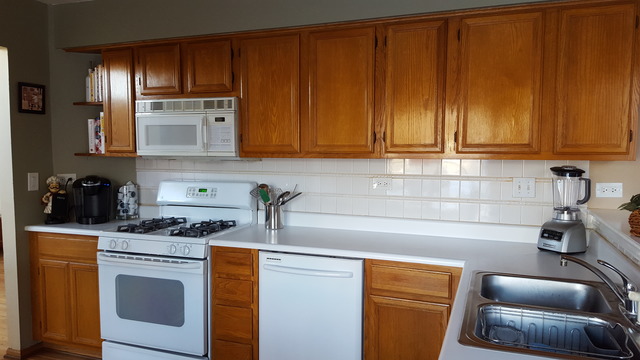 341 Lincoln Dr, Bartlett, IL 60103 photo 7