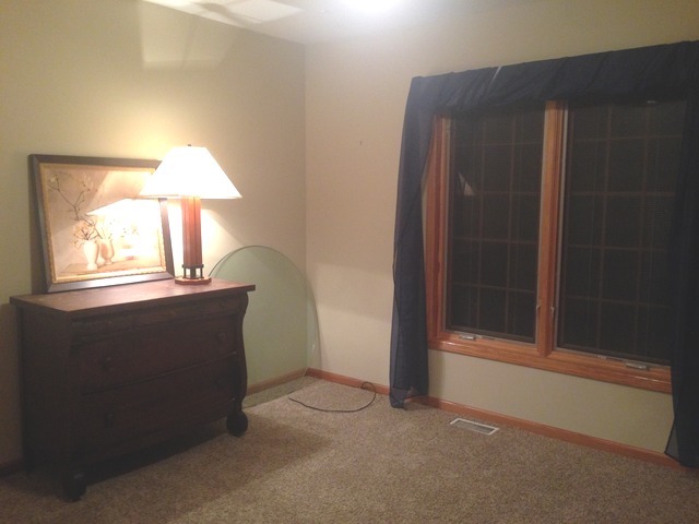 8214 Schmidt St, Spring Grove, IL 60081 photo 22