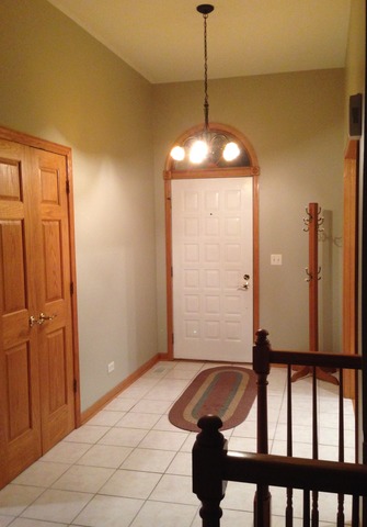 8214 Schmidt St, Spring Grove, IL 60081 photo 24