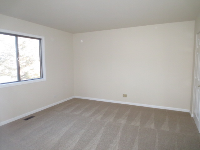 690 Brighton Pl #13A, Wheeling, IL 60090 photo 9