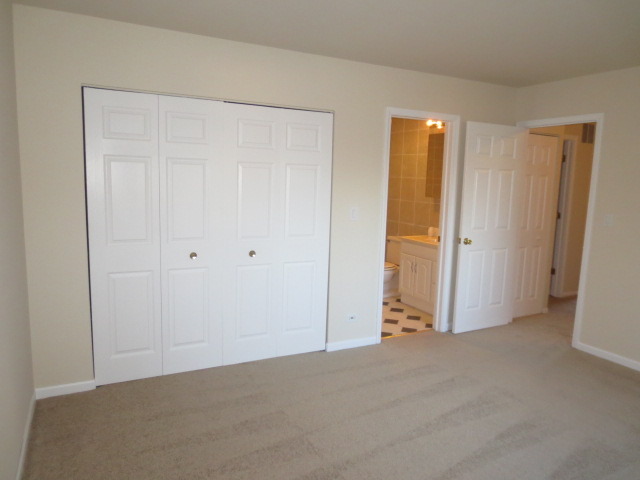 690 Brighton Pl #13A, Wheeling, IL 60090 photo 10