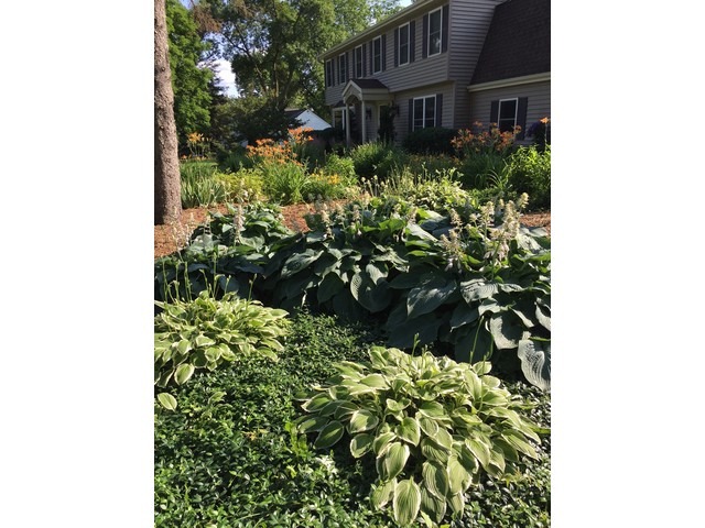 237 Valley Rd, Cary, IL 60013 photo 20
