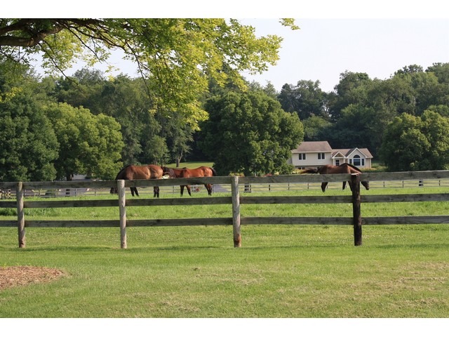 237 Valley Rd, Cary, IL 60013 photo 22