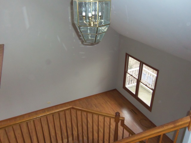 13801 S Quail Run Dr, Plainfield, IL 60544 photo 18