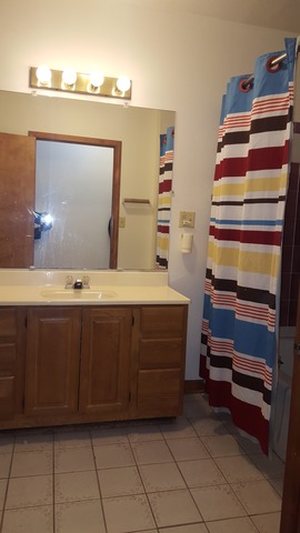 21 W 111th Pl, Chicago, IL 60628 photo 7