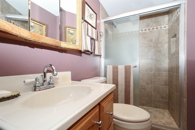 4123 N Firestone Ct, Hoffman Estates, IL 60192 photo 20