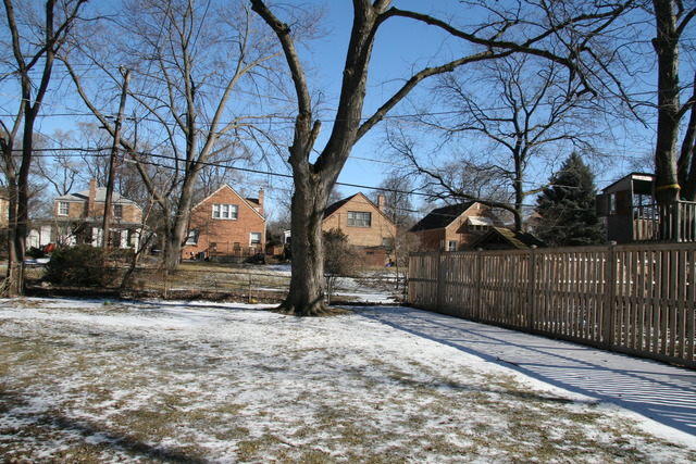 421 Darrow Ave, Evanston, IL 60202 photo 22