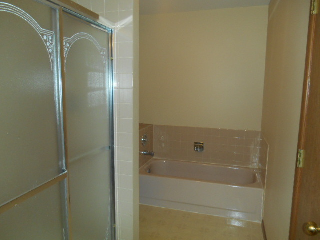 20828 W Hickory Ct, Plainfield, IL 60544 photo 10