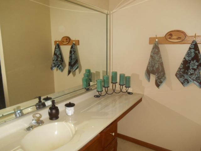 20828 W Hickory Ct, Plainfield, IL 60544 photo 9