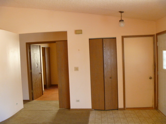 600 Thorndale Dr, Elgin, IL 60120 photo 2