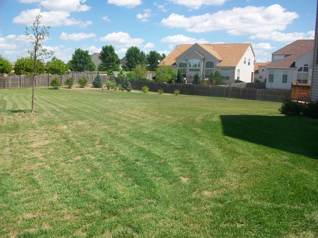 12719 Barrow Ln, Plainfield, IL 60585 photo 24