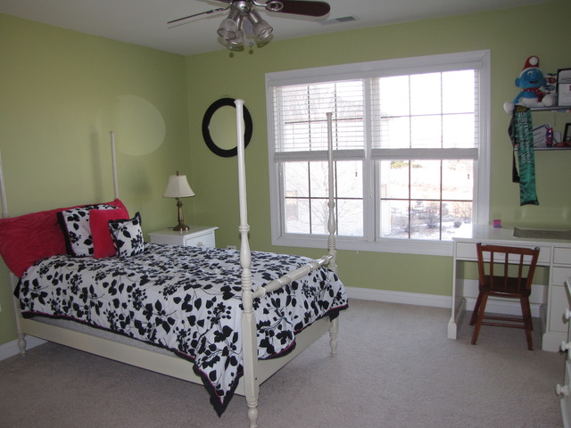 12719 Barrow Ln, Plainfield, IL 60585 photo 20