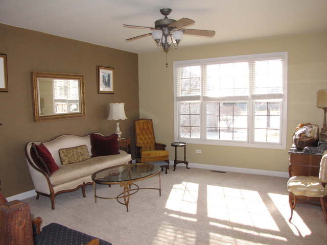 12719 Barrow Ln, Plainfield, IL 60585 photo 4