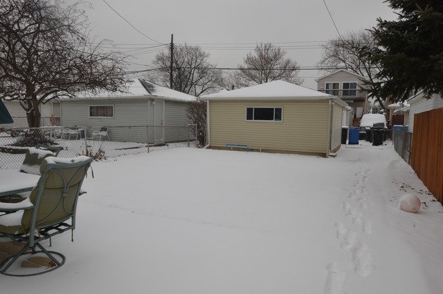 3519 N Oleander Ave, Chicago, IL 60634 photo 18