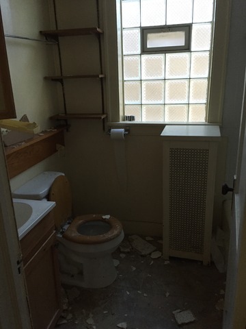 430 E 88th St, Chicago, IL 60619 photo 6