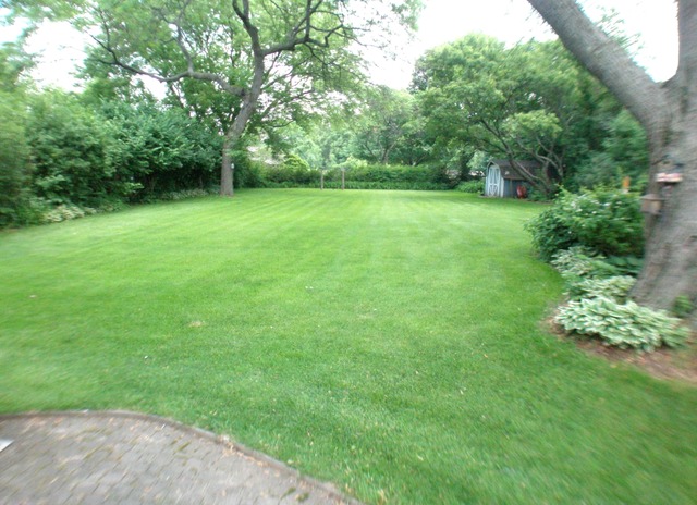 2 S373 Seneca Dr, Wheaton, IL 60189 photo 20