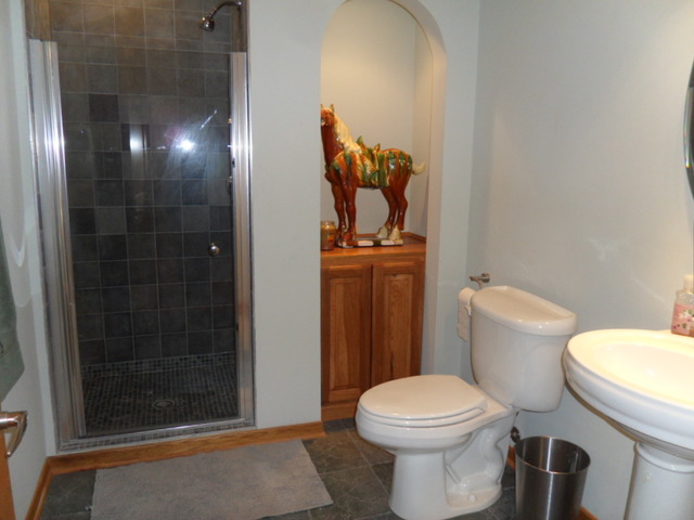 829 Clover Ridge Ln, Itasca, IL 60143 photo 23