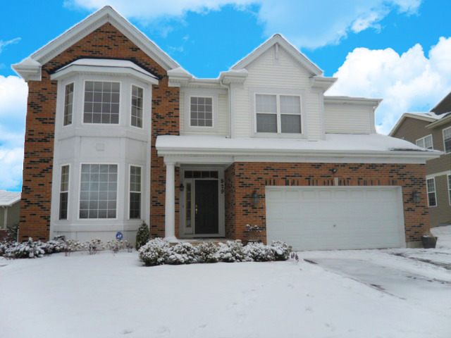 829 Clover Ridge Ln, Itasca, IL 60143 photo 1