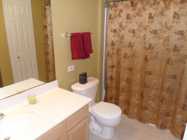 829 Clover Ridge Ln, Itasca, IL 60143 photo 19