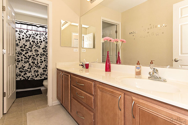 4215 Jay St, Johnsburg, IL 60051 photo 18