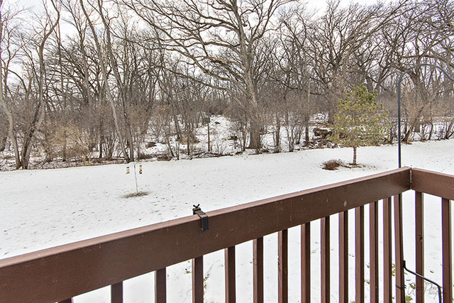 4215 Jay St, Johnsburg, IL 60051 photo 24