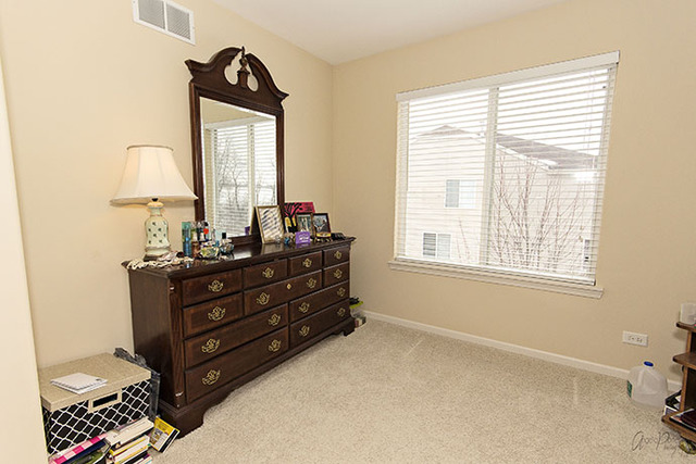 4215 Jay St, Johnsburg, IL 60051 photo 20