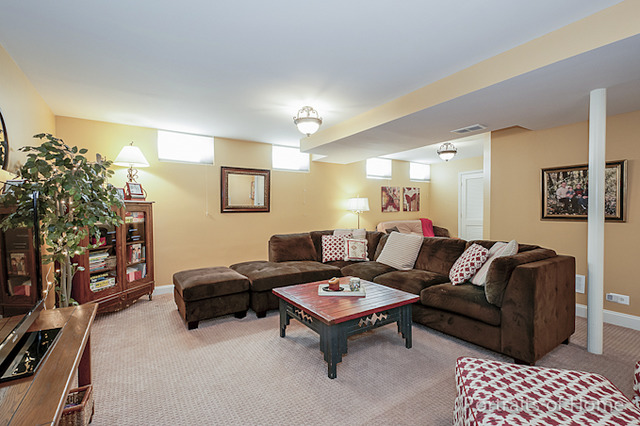 313 N Scott St, Wheaton, IL 60187 photo 16