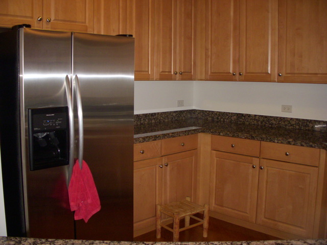 420 E Waterside Dr #411, Chicago, IL 60601 photo 3