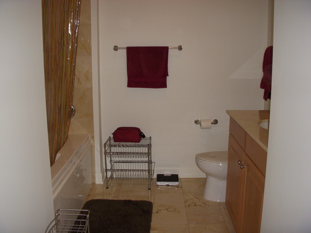 420 E Waterside Dr #411, Chicago, IL 60601 photo 8