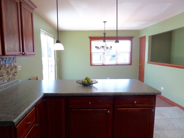 100 E Spring Ave, South Elgin, IL 60177 photo 13