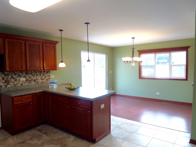 100 E Spring Ave, South Elgin, IL 60177 photo 11