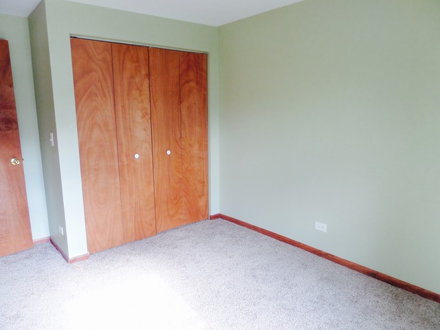 100 E Spring Ave, South Elgin, IL 60177 photo 8