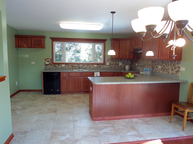 100 E Spring Ave, South Elgin, IL 60177 photo 12
