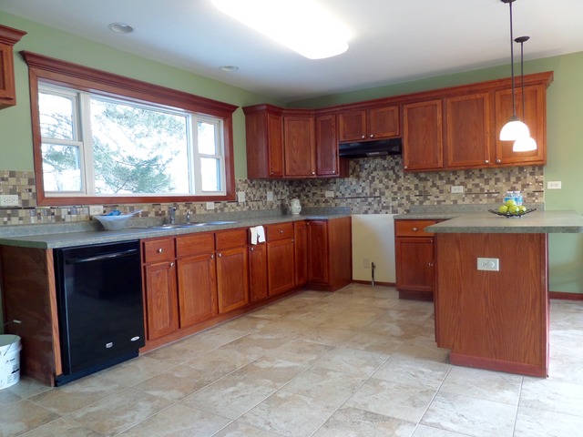 100 E Spring Ave, South Elgin, IL 60177 photo 10