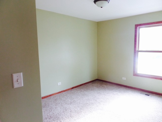 100 E Spring Ave, South Elgin, IL 60177 photo 7