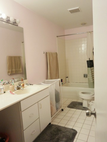 811 S Lytle St #304, Chicago, IL 60607 photo 8