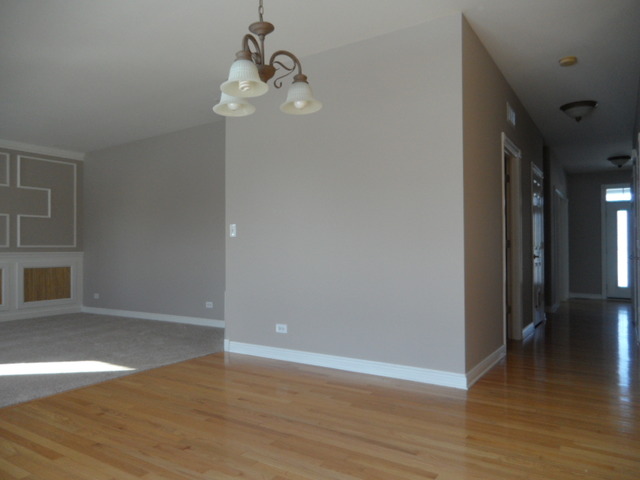 13541 Meadow Ln, Plainfield, IL 60544 photo 6