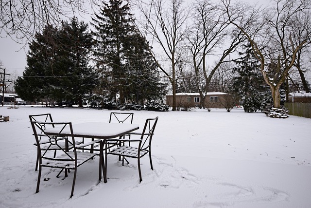 209 Plainfield Rd, Darien, IL 60561 photo 25