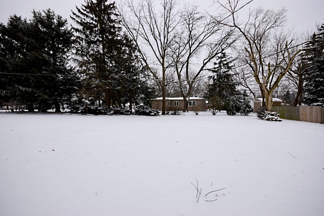 209 Plainfield Rd, Darien, IL 60561 photo 24